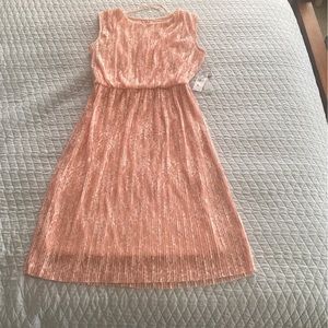 lace Blush dress
